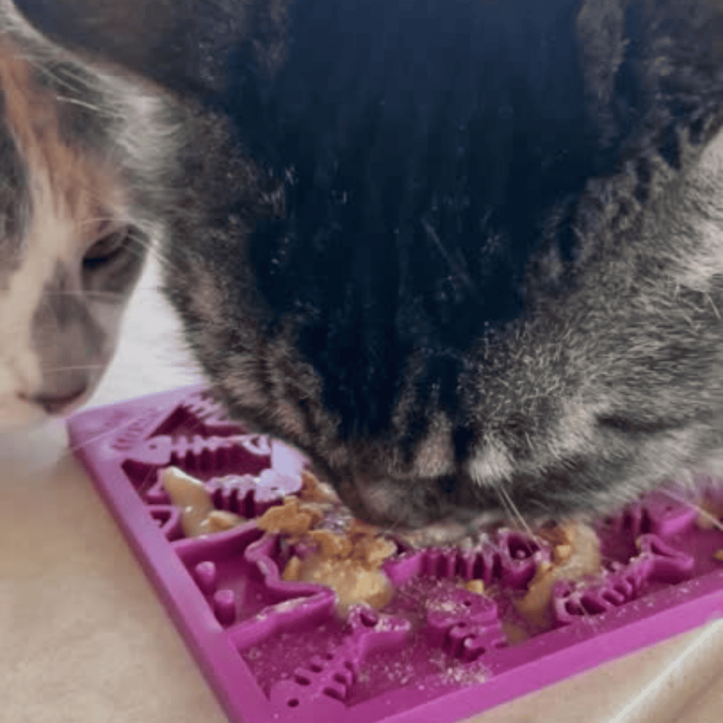 Lick Mats for Cats and Small Dogs